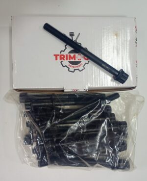 JOGO PARAFUSO CABEÇOTE 16V HR / KIA BONGO